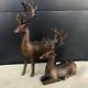 11.2 Chinese Antiques Pure Copper Pair Of Brown Sika Deer Statues