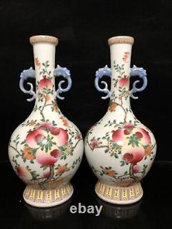 12 Chinese antique Qing Dynasty Pastel Pomegranate grain a pair bottle