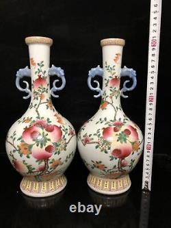12 Chinese antique Qing Dynasty Pastel Pomegranate grain a pair bottle