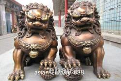 12 Royal Chinese Bronze Copper Evil Fengshui Fu Foo Dog Guardian Door Lion Pair