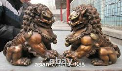 12 Royal Chinese Bronze Copper Evil Fengshui Fu Foo Dog Guardian Door Lion Pair