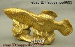 14 Chinese Copper Brass Feng shui Wealth Animal Golden Dragon Fish Ru yi Statue