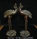 16.4 Old Chinese Bronze Red-crowned Crane Hold In The Mouth Branch Statue Pair