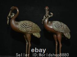 16.4 Old Chinese Bronze red-crowned crane hold in the mouth branch statue pair