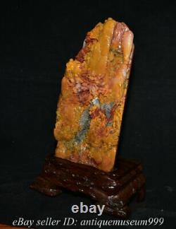 16 Chinese Tianhuang Shoushan Stone Carved Figure Tree Mountain Base Box Statue
