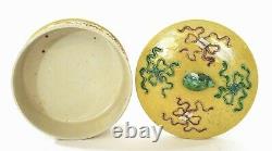 1930's Chinese Sancai Relief Porcelain Plum Blossom Box Fu Foo Dog Lion Finial