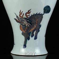 41cm Chinese Five-colored Porcelain Vase Animal Dragon Pottery Vase Bottle