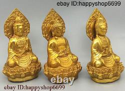 5 Chinese Buddhism Bronze Kwan-yin Sakyamuni Buddha Three saints Buddha Statue