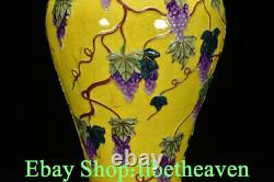 8.8 Yongzheng Old Chinese Yellow Glaze Porcelain Flower Grape Bottle Pair NB