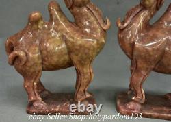 9.6 Chinese Old Xiu jade Carved Animal Camel Statue Sculpture Pair