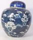 A Perfect 19th Century Chinese Blue And White Prunus Ginger Jar/vase Kangxi Mark