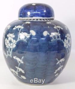 A perfect 19th century Chinese blue and white prunus ginger jar/vase Kangxi mark