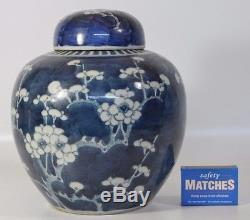 A perfect 19th century Chinese blue and white prunus ginger jar/vase Kangxi mark