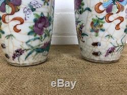 Antique Chinese Crackle Famille Vases, Foo Dogs Deers, Butterflies 19th C -Rare