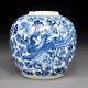 Antique Chinese Kangxi Phoenix & Peony Jar Blue & White Porcelain Double Circle