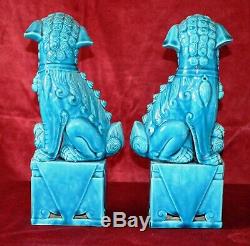 Antique Chinese Pair of Large Foo Dogs