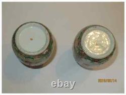 Antique Chinese Porcelain Pair of Bottle Vase