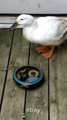 Antique Chinese cloisonne bowl from Era of Jin Ming Dynasty