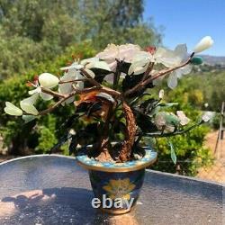 Antique Qing Chinese Jade & Wood Tree With Cloisonne Planter Beautiful