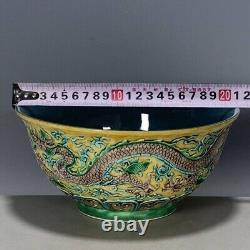 Asian Antique Porcelain Famille Verte Polychrome Enameled Art Bowl c19th-Stamped