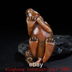 China Chinese Shoushan stone Hand carved fengshui Beast animal ornaments