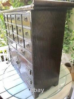 Chinese Antique Apothecary Chest with Pagoda Top 17 Drawers