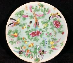 Chinese Antique Famille Rose Porcelain Plate With Flowers and Butterflies