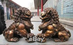 Chinese Bronze Copper Fengshui Evil Guardian Door Beast Fu Foo Dog Lion Pair