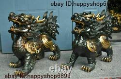 Chinese Bronze Fengshui Dragon Head Pixiu Brave troops Unicorn Beast Statue Pair