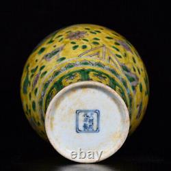 Chinese Enamel Porcelain Hand-Painted Exquisite Vase 19914