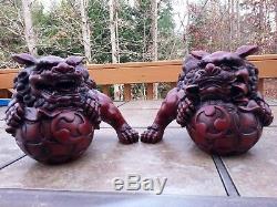 Chinese Feng Shui Lucky Lion Foo Dogs Statue