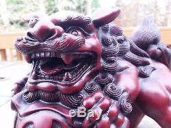 Chinese Feng Shui Lucky Lion Foo Dogs Statue