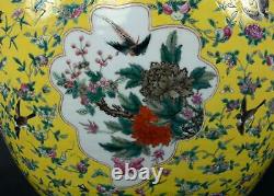 Chinese Porcelain Famille Jaune Yellow Glaze Fish Bowl Jardiniere Planter 19th C