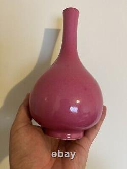Chinese Qing Dynasty Red Vase