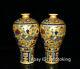 Chinese Antiques Ming Chenghua Multicolored Peacock Pattern Plum Bottle A Pair