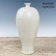 Chinese Antiques Song Dynasty Porcelain Loong Pattern Plum Blossom Bottle