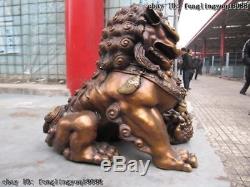 Chinese classical Bronze Copper Evil Guardian Door Bei Jing Fu Foo Dog Lion Pair