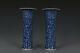 Fine Beautiful Pair Chinese Blue And White Porcelain Vase