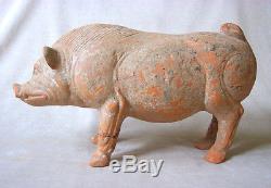 MAGNIFICENT Ancient Chinese HAN DYNASTY TERRACOTTA BOAR, 23 AD 220 AD