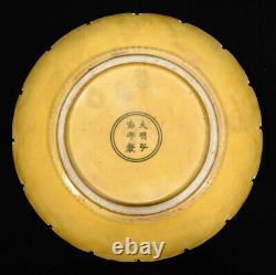 Nice Chinese Hand Painting Yellow Glazed Porcelain Plate