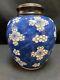 Qing, Chinese Antique Kangxi Period Blue And White Ovoid Porcelain Jar/