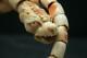 Rare Antique 18th/19th C Chinese Carved Coral/conch Shell Dragon Bracelet Bangle