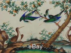 Set of 5 Chinese Watercolour Painting on Pith Exotic Birds 19th Century