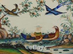 Set of 5 Chinese Watercolour Painting on Pith Exotic Birds 19th Century