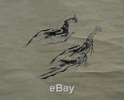 Vintage Chinese Water Ink SHRIMP Wall Hanging Scroll Painting