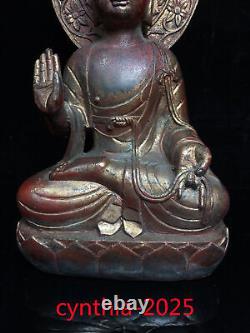 10 Anciennes antiquités chinoises bouddhisme Statue en cuivre doré de Sakyamuni