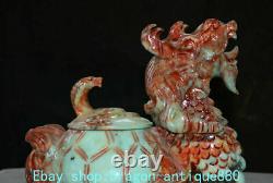 10 Bon Chinois Xiu Jade Carving Dragon Snake Xuan Wu Dieu Bête Pot Statue