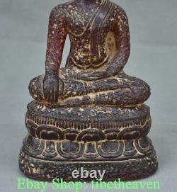 11.2 Vieil Ambre Chinois Carving Shakyamuni Sakyamuni Amitabha Bouddha Statue