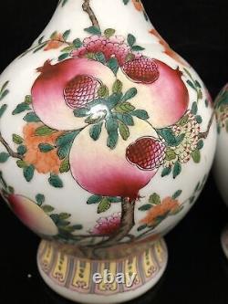 12 Chine Antique Qing Dynasty Pastel Graine De Grenade Grain Une Bouteille Paire