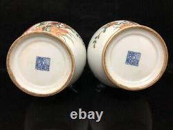 12 Chine Antique Qing Dynasty Pastel Graine De Grenade Grain Une Bouteille Paire